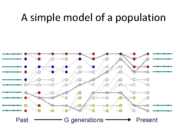 A simple model of a population Past G generations Present 
