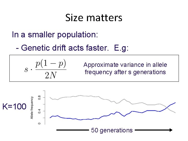 Size matters In a smaller population: - Genetic drift acts faster. E. g: Approximate