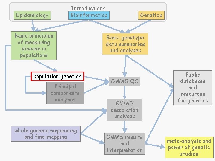 Introductions Bioinformatics Epidemiology Basic principles of measuring disease in populations population genetics Principal components