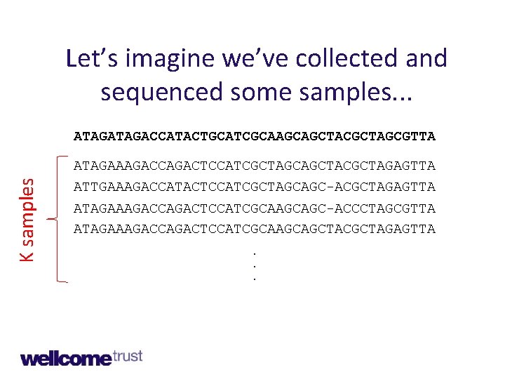 Let’s imagine we’ve collected and sequenced some samples. . . ATAGACCATACTGCATCGCAAGCAGCTACGCTAGCGTTA K samples ATAGAAAGACCAGACTCCATCGCTAGCAGCTACGCTAGAGTTA