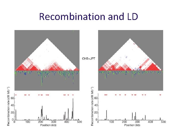 Recombination and LD 