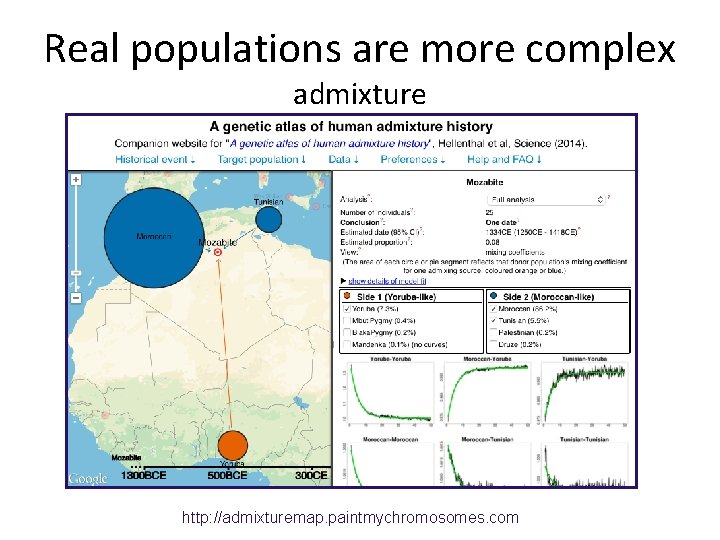 Real populations are more complex admixture http: //admixturemap. paintmychromosomes. com 