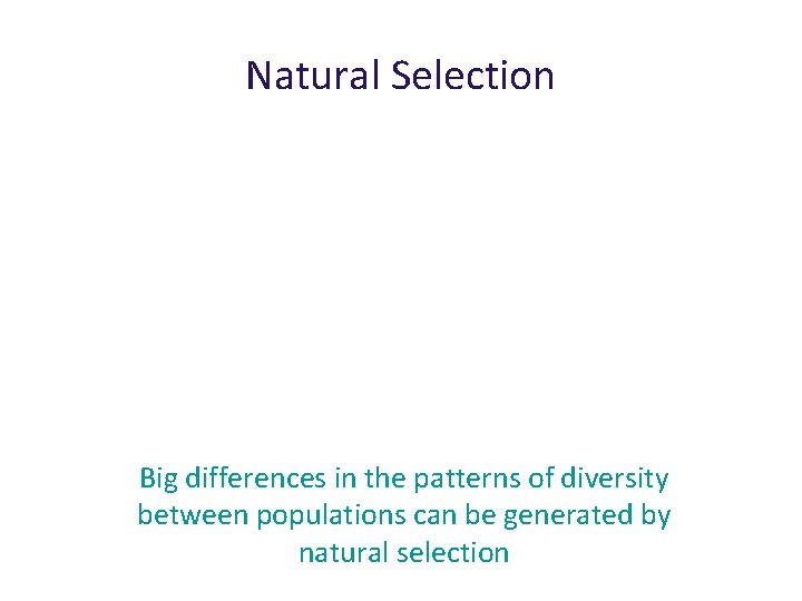 Natural Selection Big differences in the patterns of diversity between populations can be generated