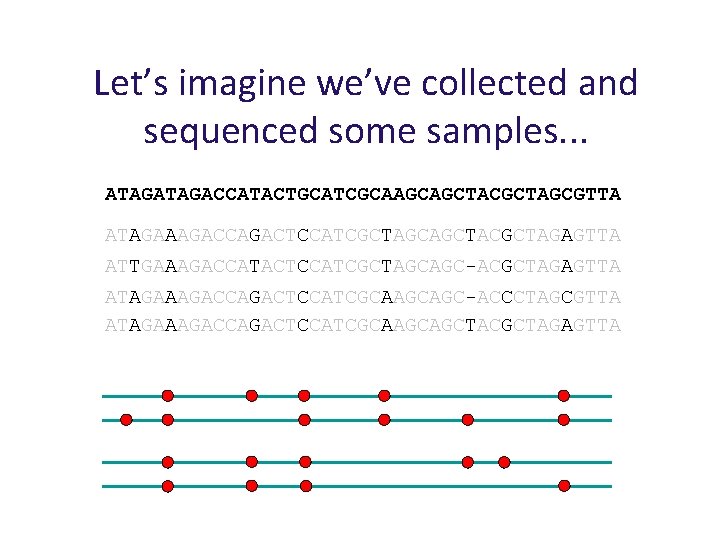 Let’s imagine we’ve collected and sequenced some samples. . . ATAGACCATACTGCATCGCAAGCAGCTACGCTAGCGTTA ATAGAAAGACCAGACTCCATCGCTAGCAGCTACGCTAGAGTTA ATTGAAAGACCATACTCCATCGCTAGCAGC-ACGCTAGAGTTA ATAGAAAGACCAGACTCCATCGCAAGCAGC-ACCCTAGCGTTA
