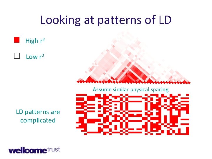 Looking at patterns of LD High r 2 Low r 2 Assume similar physical