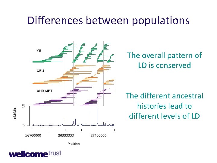 Differences between populations The overall pattern of LD is conserved The different ancestral histories
