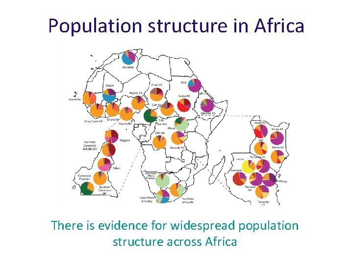 Population structure in Africa There is evidence for widespread population structure across Africa 