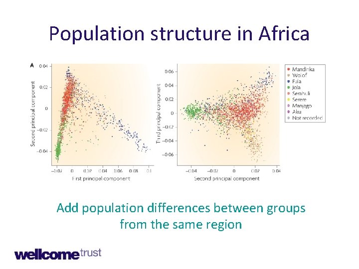 Population structure in Africa Add population differences between groups from the same region 