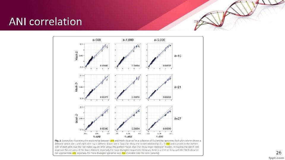 ANI correlation 26 