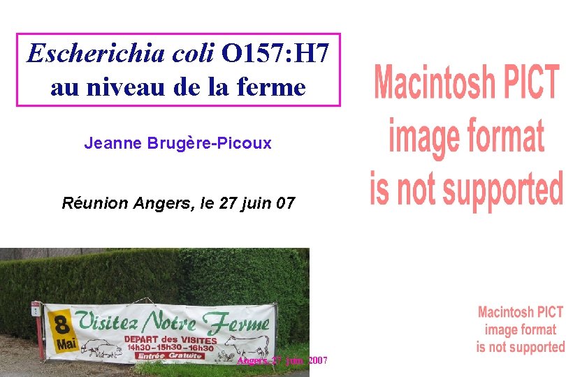 Escherichia coli O 157: H 7 au niveau de la ferme Jeanne Brugère-Picoux Réunion