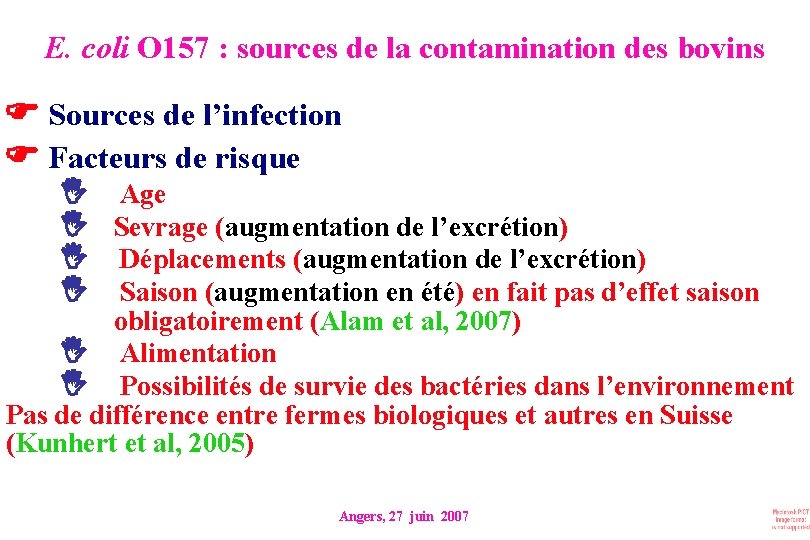 E. coli O 157 : sources de la contamination des bovins Sources de l’infection