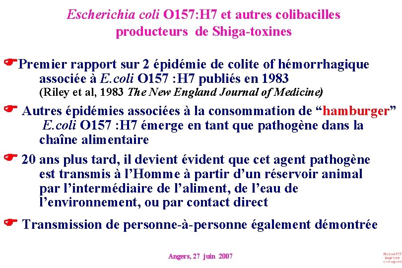 Escherichia coli O 157: H 7 et autres colibacilles producteurs de Shiga-toxines Premier rapport