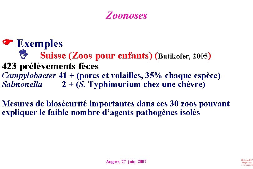 Zoonoses Exemples Suisse (Zoos pour enfants) (Butikofer, 2005) 423 prélèvements fèces Campylobacter 41 +