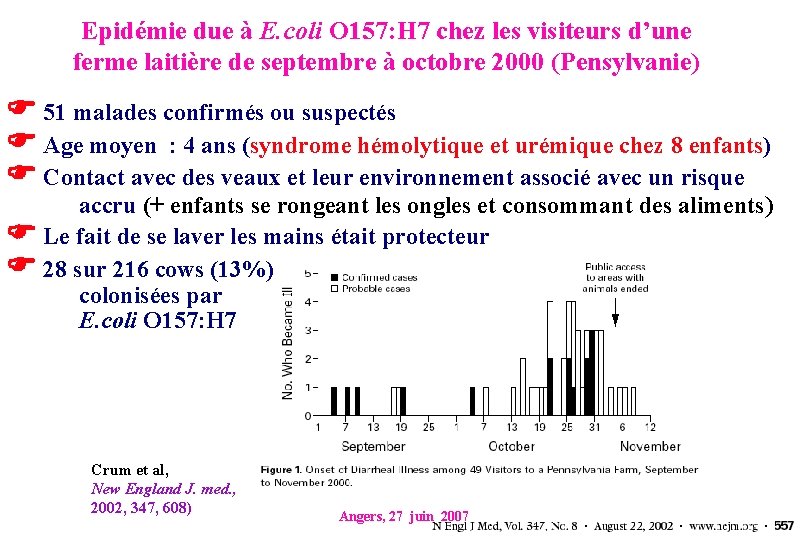 Epidémie due à E. coli O 157: H 7 chez les visiteurs d’une ferme