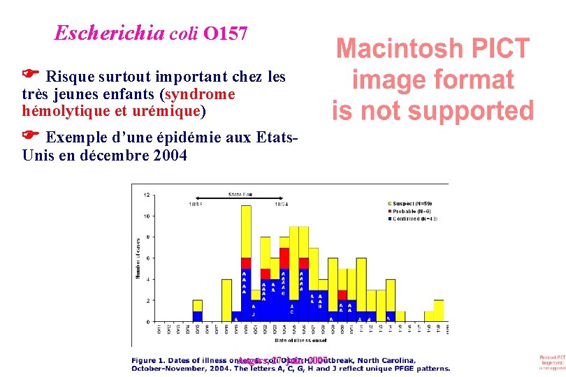 Escherichia coli O 157 Risque surtout important chez les très jeunes enfants (syndrome hémolytique