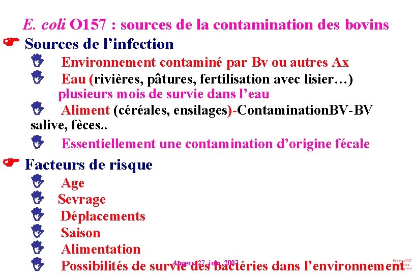 E. coli O 157 : sources de la contamination des bovins Sources de l’infection