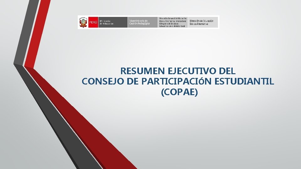RESUMEN EJECUTIVO DEL CONSEJO DE PARTICIPACIÓN ESTUDIANTIL (COPAE) 