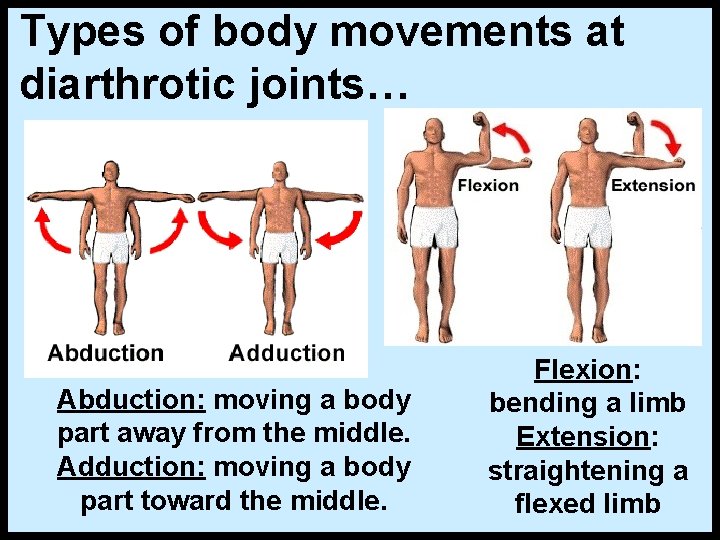 Types of body movements at diarthrotic joints… Abduction: moving a body part away from