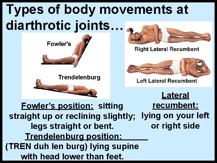 Types of body movements at diarthrotic joints… Trendelenburg Lateral recumbent: Fowler’s position: sitting straight