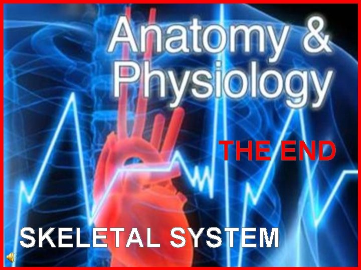 THE END SKELETAL SYSTEM 