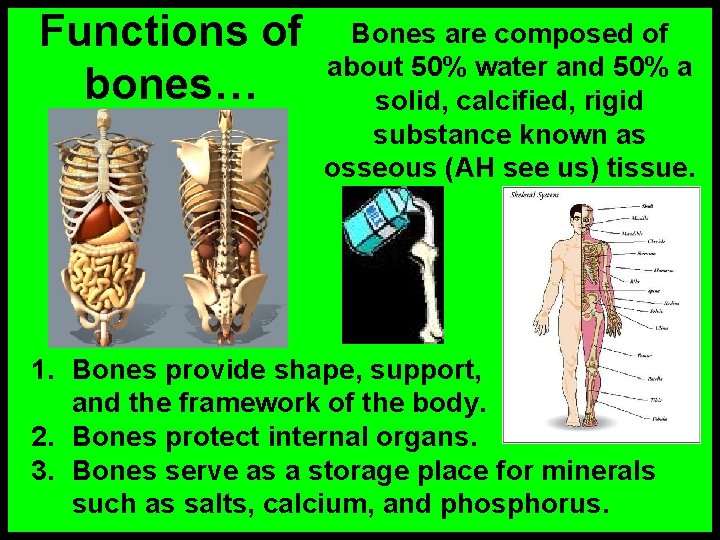 Functions of bones… Bones are composed of about 50% water and 50% a solid,