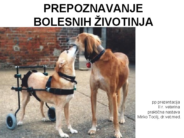 PREPOZNAVANJE BOLESNIH ŽIVOTINJA pp prezentacija II r. veterina praktična nastava Mirko Tocilj, dr. vet.