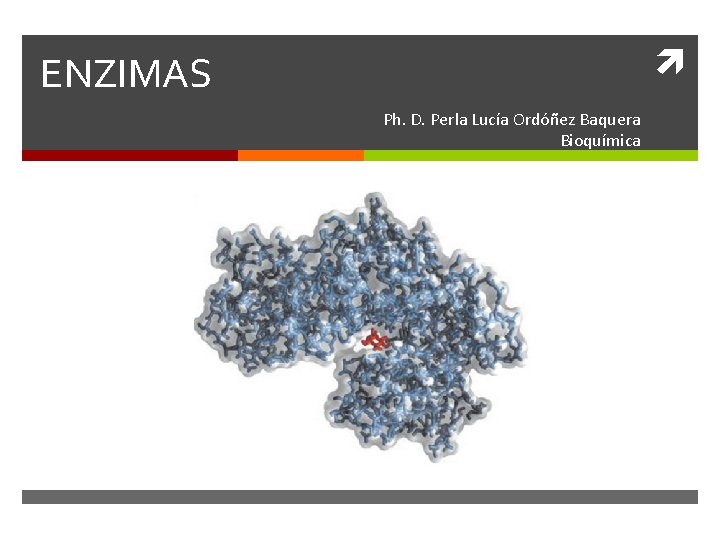  ENZIMAS Ph. D. Perla Lucía Ordóñez Baquera Bioquímica 