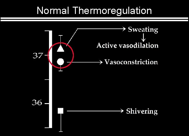 Normal Thermoregulation 