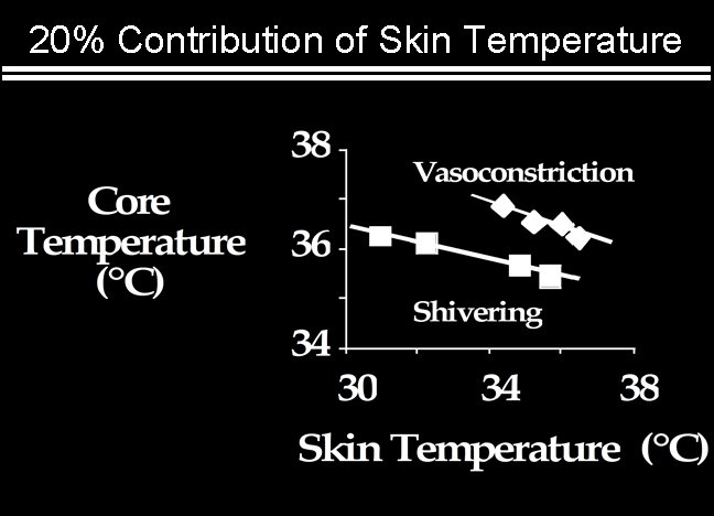 20% Contribution of Skin Temperature 