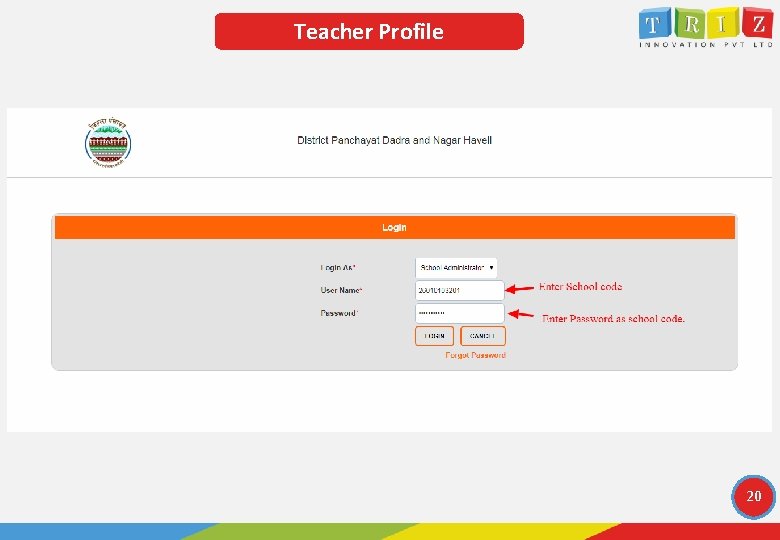 Teacher Profile 20 