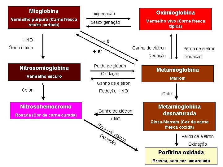 Mioglobina Vermelho púrpura (Carne fresca recém cortada) Nitrosomioglobina Vermelho escuro Vermelho vivo (Carne fresca
