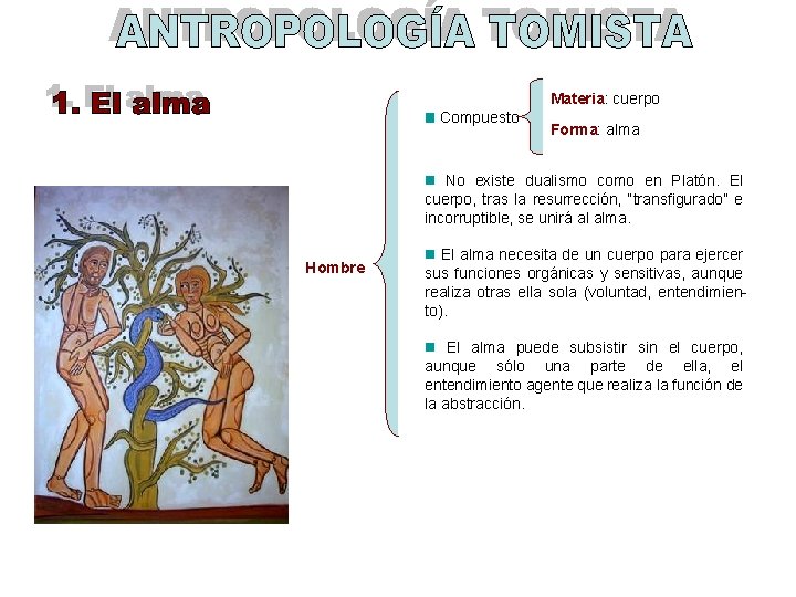 Materia: cuerpo Compuesto Forma: alma No existe dualismo como en Platón. El cuerpo, tras