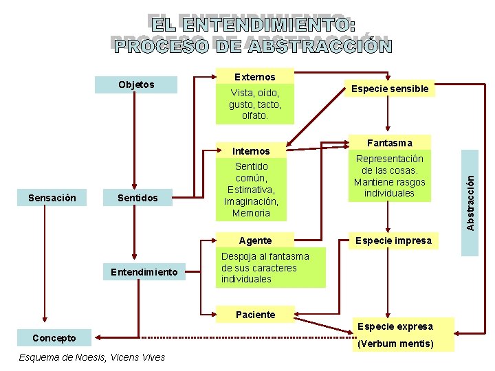 Externos Vista, oído, gusto, tacto, olfato. Internos Sensación Sentidos Sentido común, Estimativa, Imaginación, Memoria