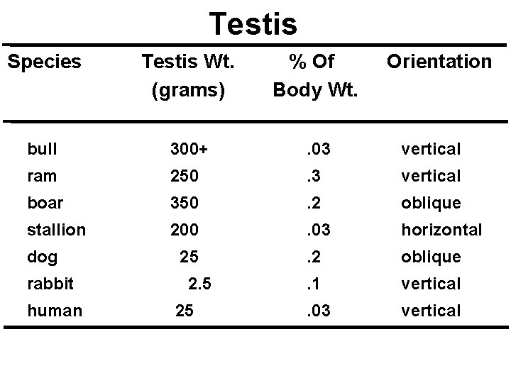 Testis Species Testis Wt. (grams) % Of Body Wt. bull 300+ . 03 vertical Testis Species Testis Wt. (grams) % Of Body Wt. bull 300+ . 03 vertical