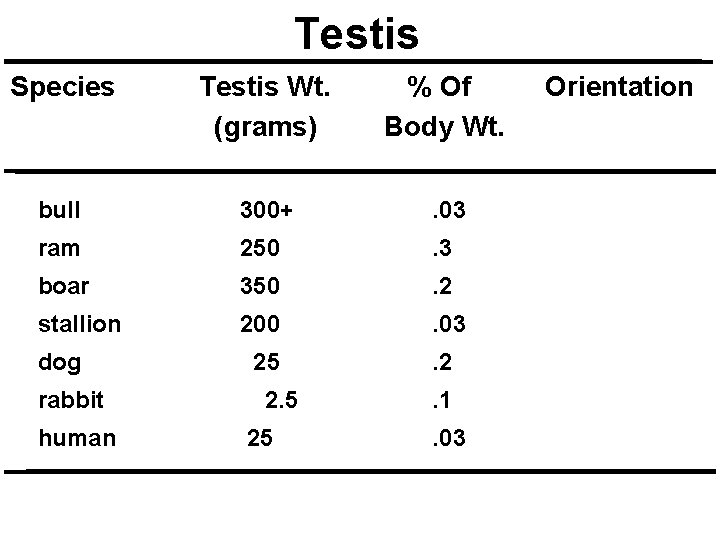 Testis Species Testis Wt. (grams) % Of Body Wt. bull 300+ . 03 vertical Testis Species Testis Wt. (grams) % Of Body Wt. bull 300+ . 03 vertical