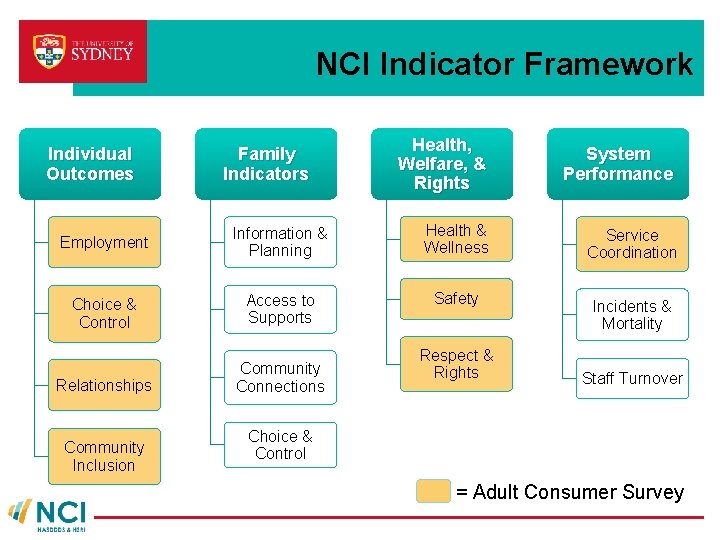 NCI Indicator Framework Individual Outcomes Family Indicators Health, Welfare, & Rights System Performance Employment