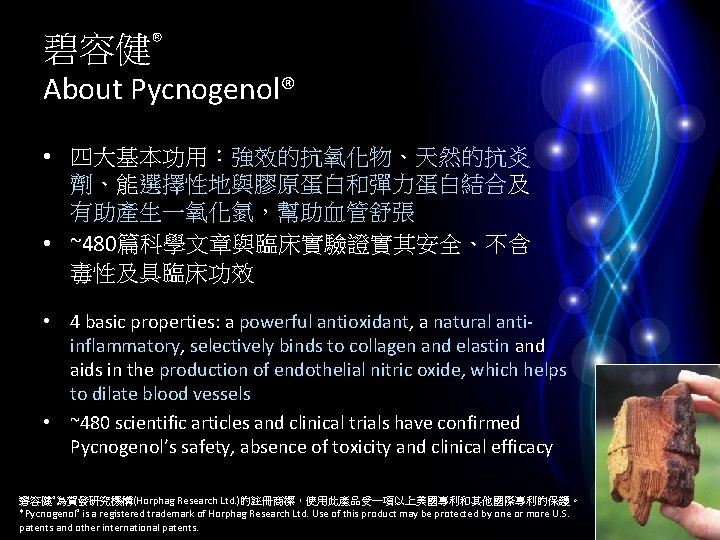 碧容健® About Pycnogenol® • 四大基本功用：強效的抗氧化物、天然的抗炎 劑、能選擇性地與膠原蛋白和彈力蛋白結合及 有助產生一氧化氮，幫助血管舒張 • ~480篇科學文章與臨床實驗證實其安全、不含 毒性及具臨床功效 • 4 basic properties: