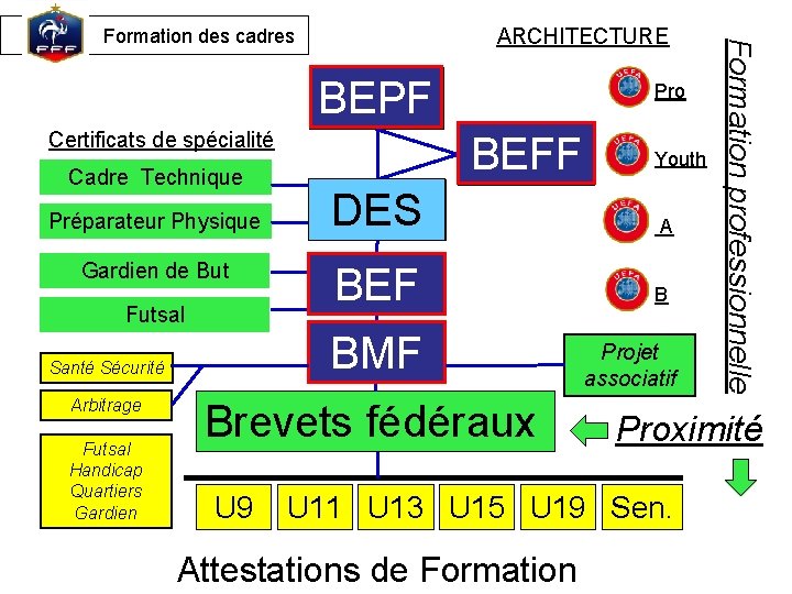 BEPF DEPF Certificats de spécialité Cadre Technique Préparateur Physique Gardien de But Futsal Handicap