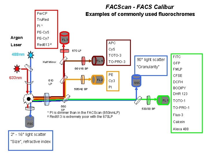 FACScan - FACS Calibur Examples of commonly used fluorochromes Per. CP Tru. Red PI