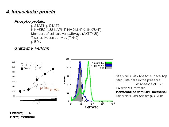 4. Intracellular protein Phospho protein; p-STAT 1, p-STAT 5 KINASES (p 38 MAPK, P