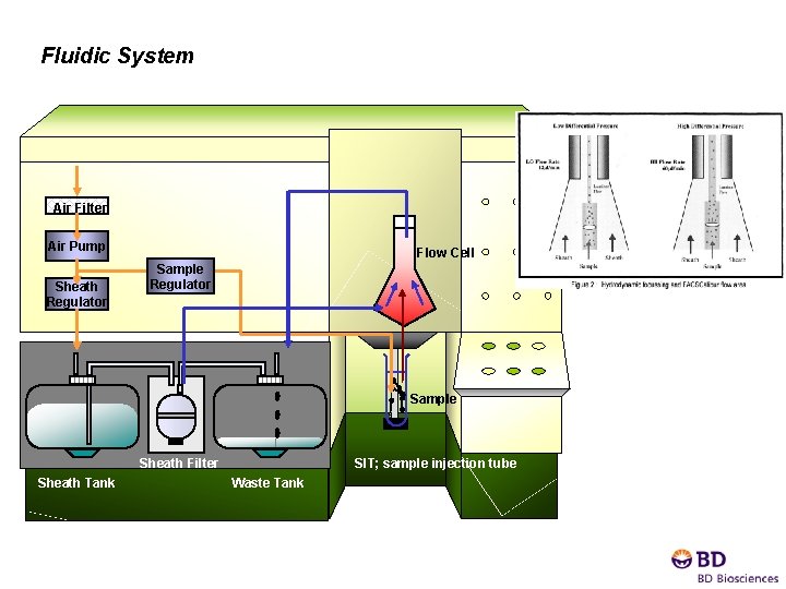Fluidic System Air Filter Air Pump Sheath Regulator Flow Cell Sample Regulator Sample Sheath