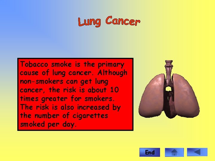 Tobacco smoke is the primary cause of lung cancer. Although non-smokers can get lung