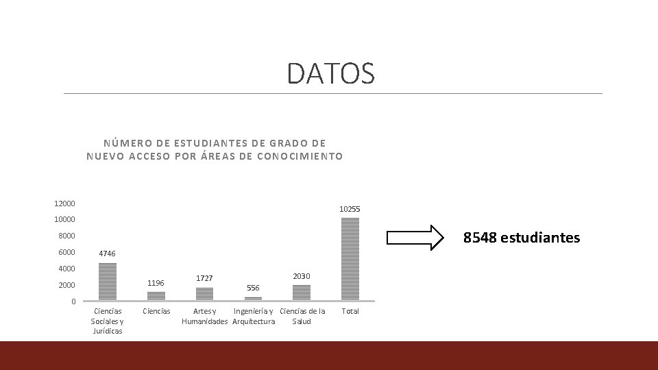 DATOS NÚMERO DE ESTUDIANTES DE GRADO DE NUEVO ACCESO POR ÁREAS DE CONOCIMIENTO 12000