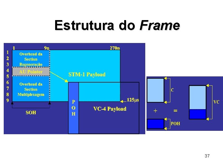 Estrutura do Frame 37 