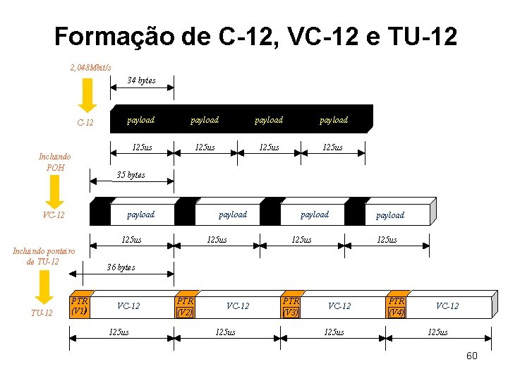 Formação de C-12, VC-12 e TU-12 2, 048 Mbit/s 34 bytes C-12 Incluindo POH