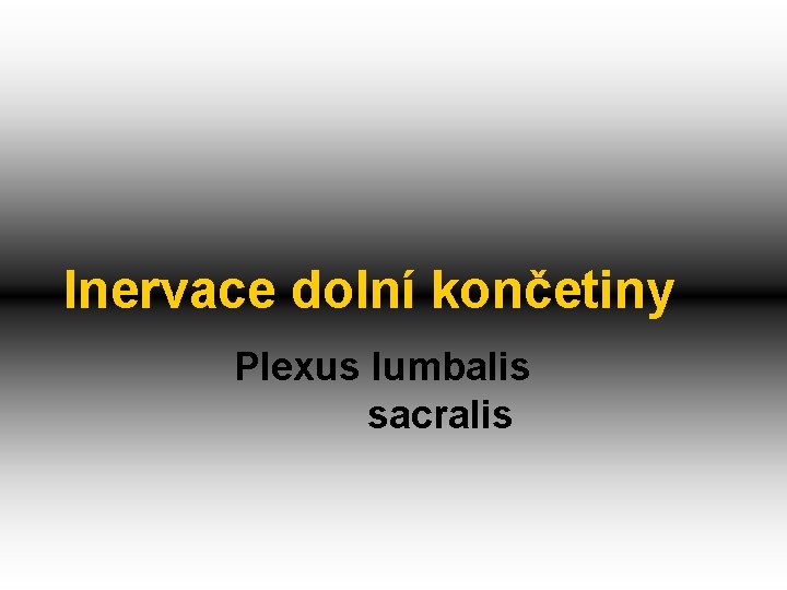 Inervace dolní končetiny Plexus lumbalis sacralis 