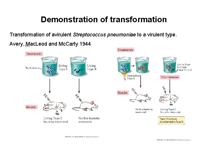 Demonstration of transformation Transformation of avirulent Streptococcus pneumoniae to a virulent type. Avery, Mac. Demonstration of transformation Transformation of avirulent Streptococcus pneumoniae to a virulent type. Avery, Mac.