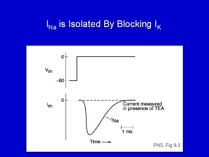 INa is Isolated By Blocking IK PNS, Fig 9 -3 