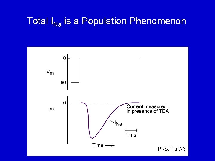 Total INa is a Population Phenomenon PNS, Fig 9 -3 