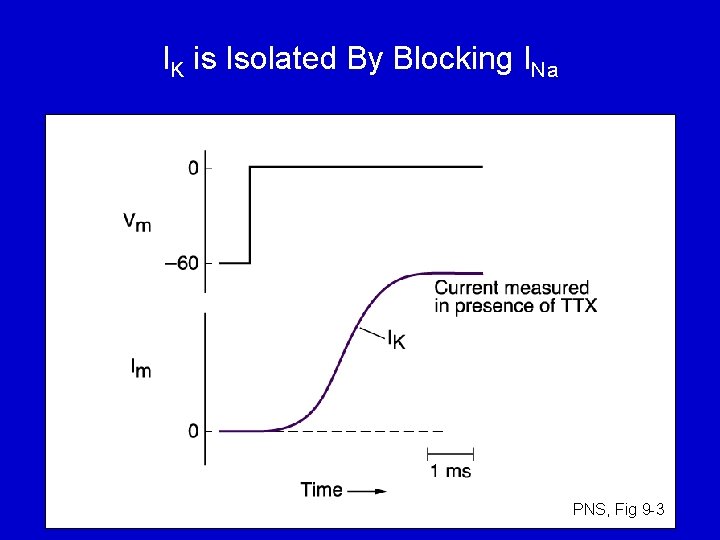 IK is Isolated By Blocking INa PNS, Fig 9 -3 